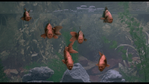 sens-zycia-wg-monty-pythona-para-na-film-copy